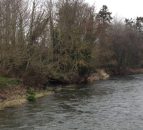 Farmers fined over £2,000 for pollution to waterway