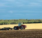 Strengthening futures’ market could encourage last season’s wheat to be stored