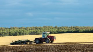 Strengthening futures’ market could encourage last season’s wheat to be stored