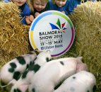 Four-day Balmoral Show on the cards from 2017