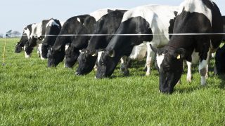 ‘My milk fat has dropped in the last two weeks – should I be worried?’