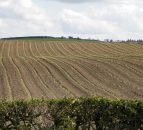 The US has approved a drone to spray crops with pesticides