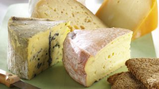 US government to purchase surplus cheese to help out dairy farmers