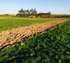 Tips: Drainage is expensive business (best get it right)