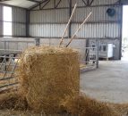 Straw market hardens as prices average €18-20/bale nationwide