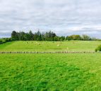Northern farmers face new compulsory purchase measures