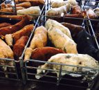 Will exports to Turkey relieve some pressure from the EU beef market?