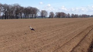 Farming opportunities abound in western Poland