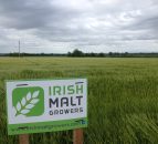 New malting barley group to seek contract price negotiating rights