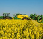 France to ban glyphosate - regardless of EU vote this week