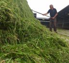 'Good quality silage is not all about dry matter content'