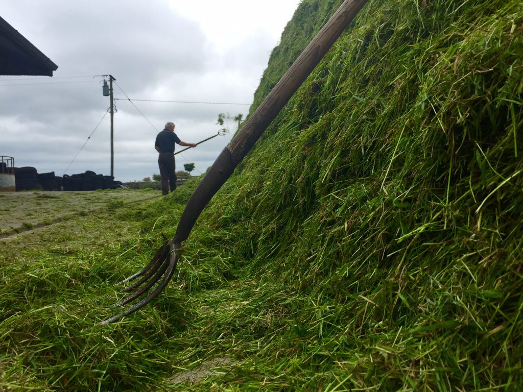 farming farmers silage