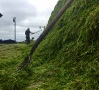 Find out how to make more from forage at this year's Livestock Event