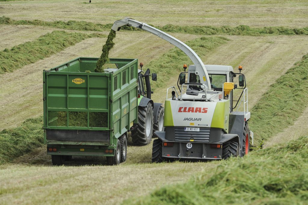 silage met eireann grass