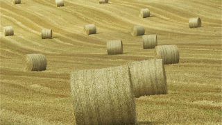 Now this is an impressive use of tractors and straw bales at the Tour de France!