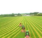 Silage video: Gobbling grass from a height