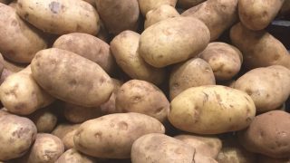Growers receiving €750/t for new season potatoes