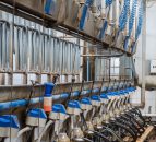 New Zealand dairy farmers braced for $150,000 income drop
