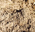 Do you condition score your earthworm populations?