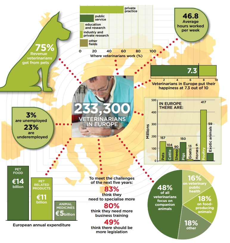 vets in europe