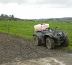 Poll: Dairy farmers: What's your cost of production?
