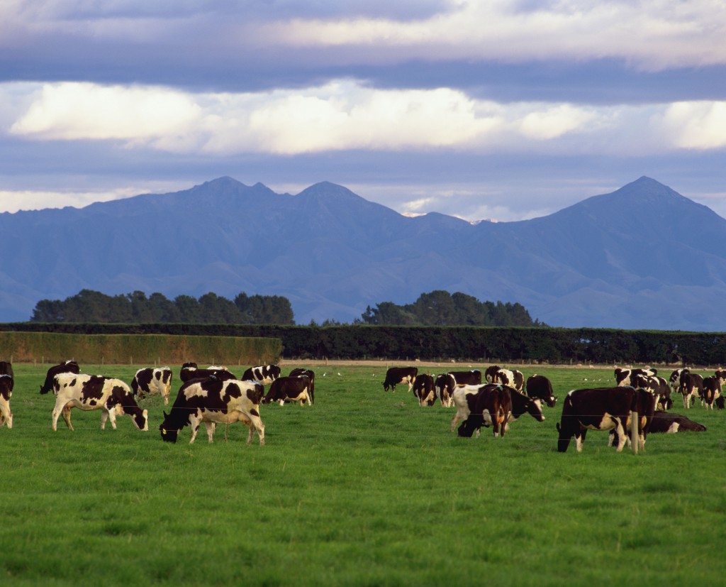 Fonterra