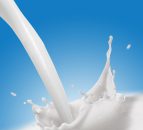 Would you try camel milk? Ray D'Arcy did on live radio