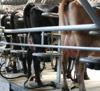 Arla UK cuts milk price for third consecutive month