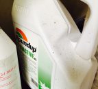 Commission set to propose a nine year EU licence for glyphosate