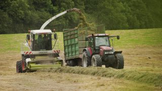 No farm death due to overhead lines since 2004