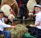 Why 15,000 people are set to attend Virginia Show this year