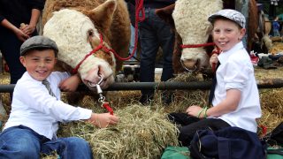 Why 15,000 people are set to attend Virginia Show this year
