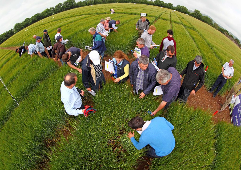 Farmers at the Seedtech & Syngenta open day 
