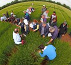 ‘Tillage farmers' margins increase with hybrids’