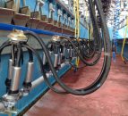 Dairy expansion - Why planning is essential