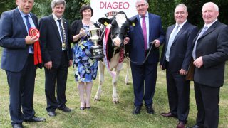€10,000 up for grabs at dairy livestock competition