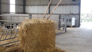 Bales of straw costing as much as bales of hay and silage