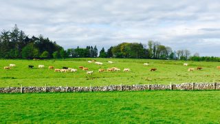 2,500 acres of land in the UK is on the market for €24m