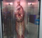 'Lamb must be included in beef trade missions'