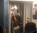 Five cows killed after train hits herd and is derailed