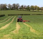 See the grass growth figures of a top dairy farm