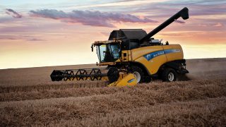 Highest UK wheat stocks on record