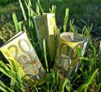 What does the term ‘voluntary levy’ actually mean?