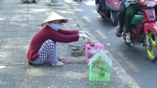 EU agrees free trade agreement with Vietnam