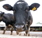 'Collaborative approach needed to address milk price concerns'
