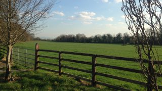 ‘Strong demand’ for long-term land leasing arrangements