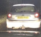 Driver of car stopped with sheep: 'I took it for a treat to McDonald's'