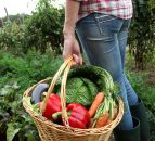 British farms ‘critically short’ of seasonal fruit and veg labour supply