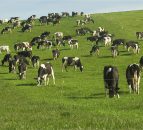 Carbon to replace milk as the new quota in farming