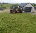 Why the best additive for silage might be...diesel!